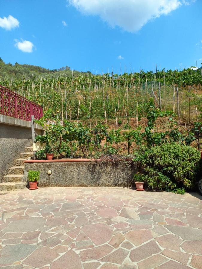 Villa Ester Camaiore Buitenkant foto